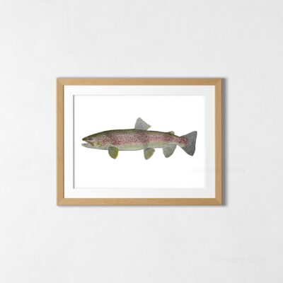 Poster Marble Trout Watercolor Art Print