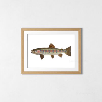 Poster Redband Trout Watercolor Art Print