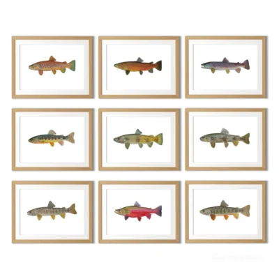 Digital Art Print Vintage Fish