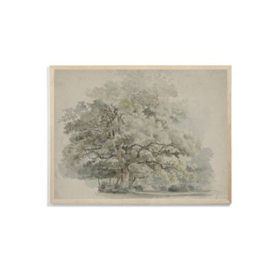 Old Tree Artwork Print Vintage Poster