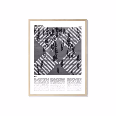 Metropolitan Flow Shibuya B&W